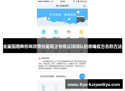 全面指南教你高效查找葡萄牙各级足球球队的准确官方名称方法