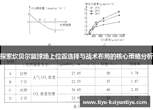 探索坎贝尔篮球场上位置选择与战术布局的核心策略分析